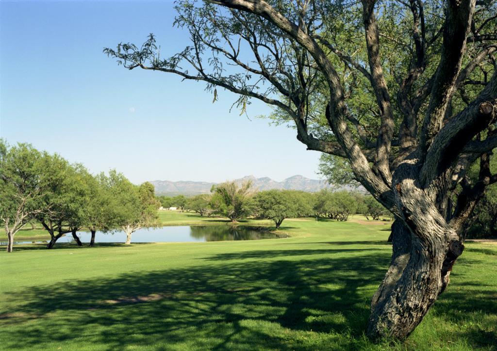 Esplendor Resort At Rio Rico Bekvämligheter bild